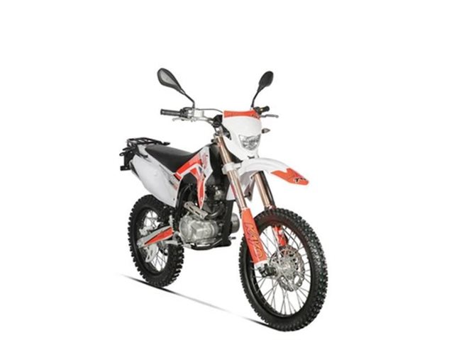 2022 Kayo T4 230 at Sloans Motorcycle ATV, Murfreesboro, TN, 37129