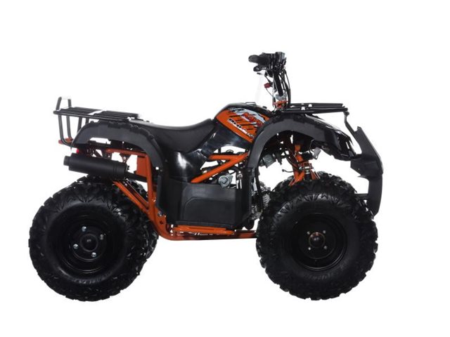 ATV at Lynnwood Motoplex, Lynnwood, WA 98037