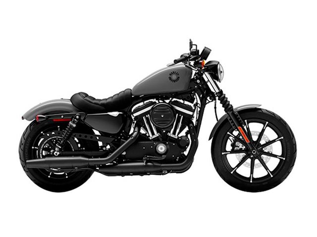 2022 Harley-Davidson Iron 883' Iron 883 at Ventura Harley-Davidson