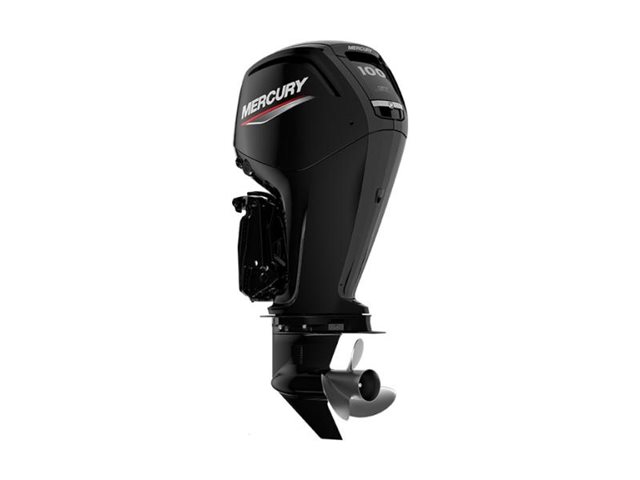 100hp FourStroke Command Thrust at DT Powersports & Marine
