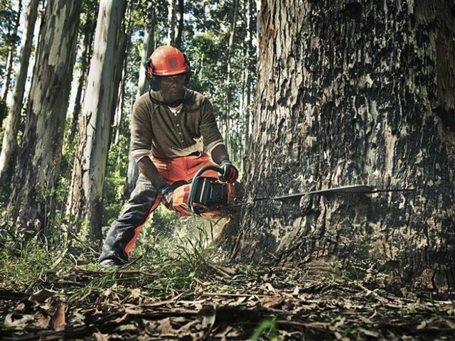 2022 Husqvarna Power Gas Chainsaws 390 XP® 28 in at R/T Powersports