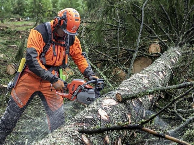 2022 Husqvarna Power Professional Chainsaws 550 XP® Mark II 20 in at R/T Powersports
