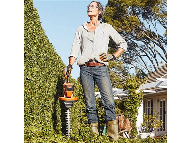 2022 STIHL AK-System: Hedge Trimmers AK-System Hedge Trimmers HSA 56 tool only at Patriot Golf Carts & Powersports
