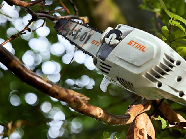 2022 STIHL Cordless pole pruners Cordless pole pruners HTA 86, tool only at Patriot Golf Carts & Powersports