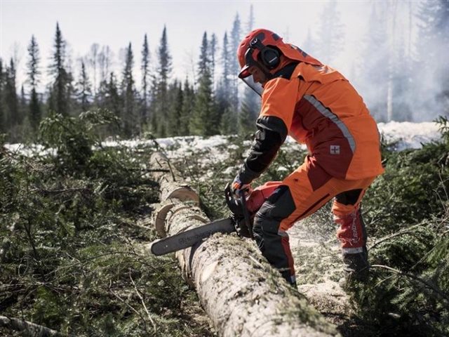 2022 Husqvarna Power Gas Chainsaws 565 20 in at R/T Powersports