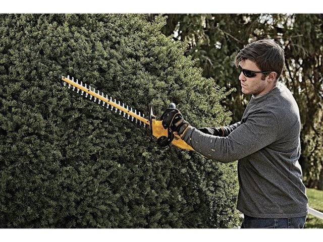 2021 DeWalt Hedge Trimmers DCHT820B at McKinney Outdoor Superstore