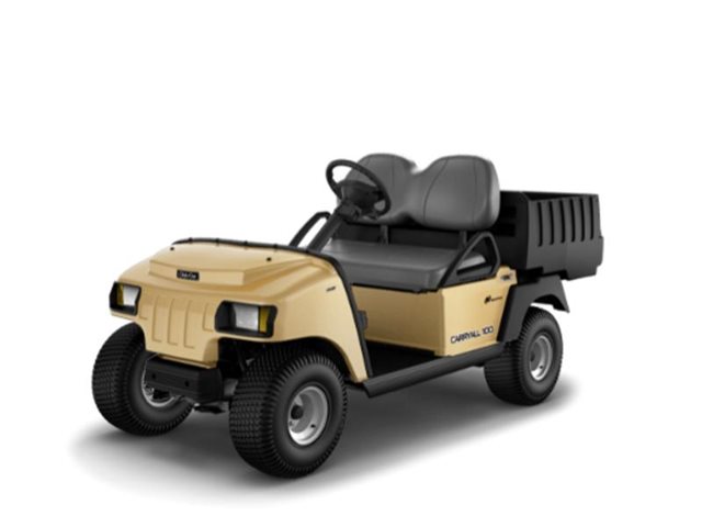 Carryall 100 Gasoline at Patriot Golf Carts & Powersports