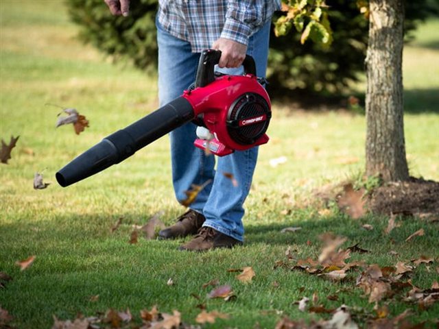 2022 Troy-Bilt Leaf Blower TB400 at McKinney Outdoor Superstore