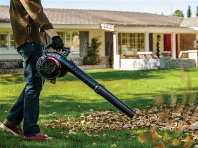 2022 Troy-Bilt Leaf Blower TB272V at McKinney Outdoor Superstore