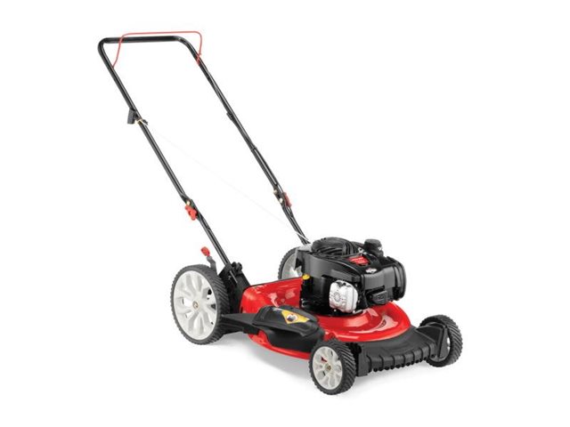 2022 Troy-Bilt Push Mowers TB100 at McKinney Outdoor Superstore