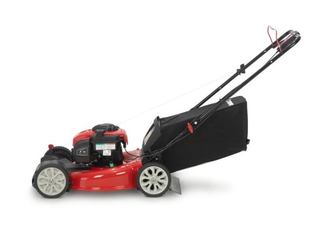 2022 Troy-Bilt Self-Propelled Mowers TB210B at McKinney Outdoor Superstore