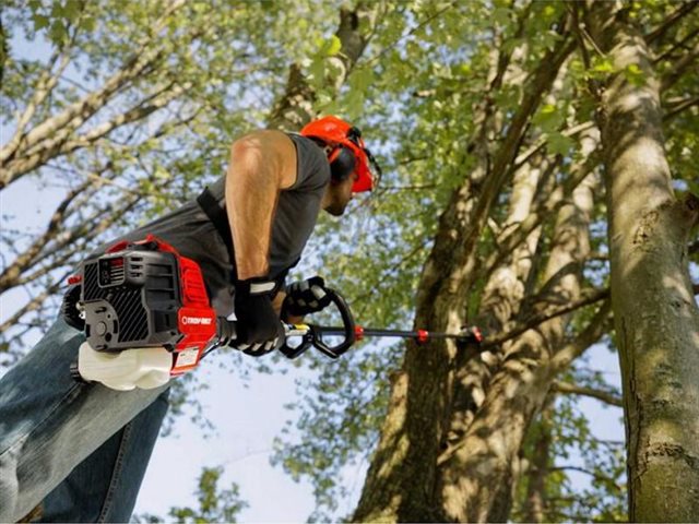 2021 Troy-Bilt Chainsaws TB25PS 25cc 2-Cycle 8 Gas Pole Saw at McKinney Outdoor Superstore