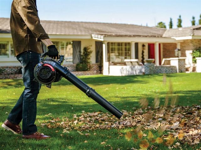 2021 Troy-Bilt Leaf Blowers TB272V at McKinney Outdoor Superstore