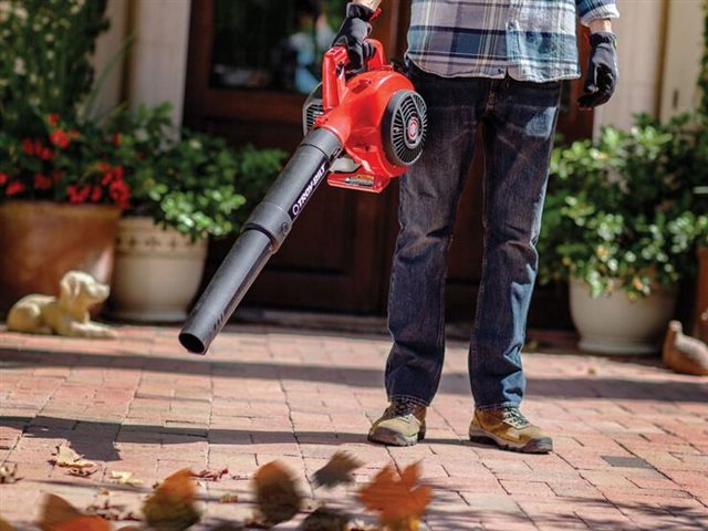 2021 Troy-Bilt Leaf Blowers TB430 at McKinney Outdoor Superstore