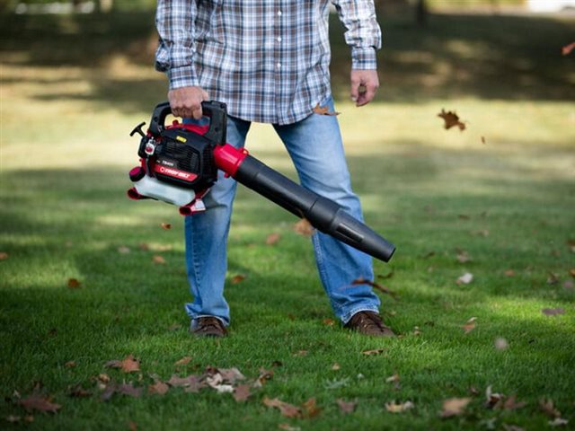 2021 Troy-Bilt Leaf Blowers TB400 at McKinney Outdoor Superstore