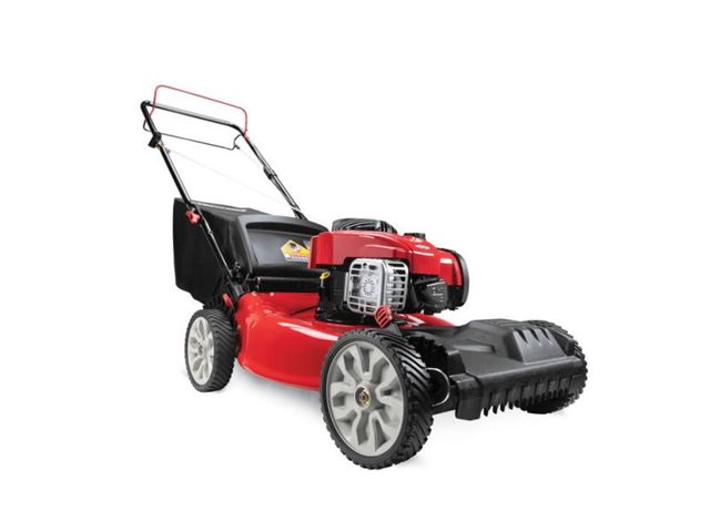 2021 Troy-Bilt Self-Propelled Mowers TB200 at McKinney Outdoor Superstore