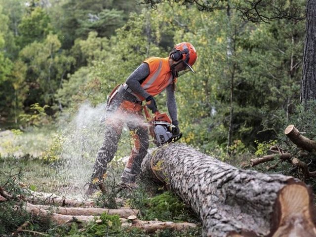 2023 Husqvarna Power Professional Chainsaws 550 XP® Mark II 16 in at R/T Powersports