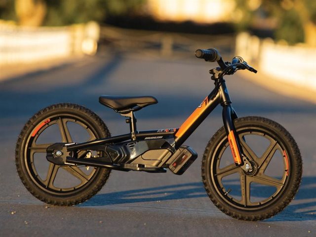 2021 Harley-Davidson Brushless IRONe16' at Arkport Cycles