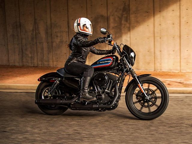 2021 Harley-Davidson Iron 1200' at All American Harley-Davidson, Hughesville, MD 20637