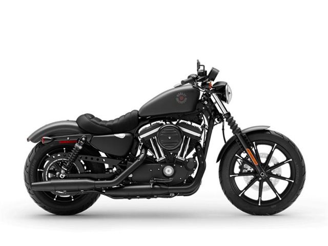 2021 Harley-Davidson Iron 883' at All American Harley-Davidson, Hughesville, MD 20637