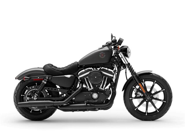 Iron 883 at Deluxe Harley Davidson