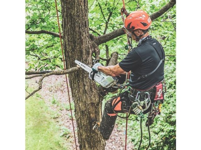 2023 STIHL Battery Chainsaws MSA 161 T at Patriot Golf Carts & Powersports