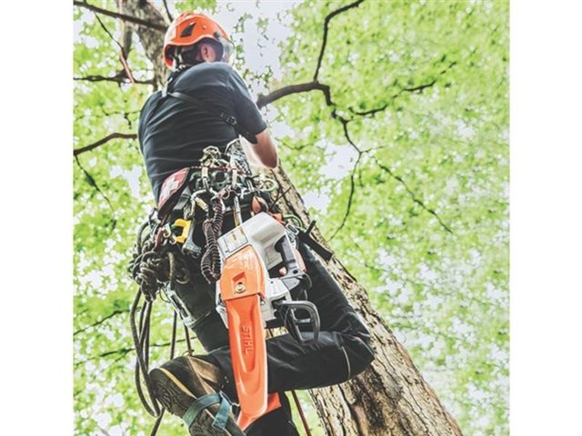 2023 STIHL Battery Chainsaws MSA 161 T at Patriot Golf Carts & Powersports