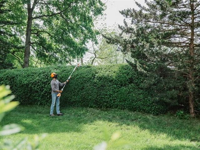 2023 STIHL Battery Hedge Trimmers HLA 56 at Patriot Golf Carts & Powersports