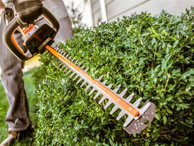 2023 STIHL Battery Hedge Trimmers HSA 45 at Patriot Golf Carts & Powersports