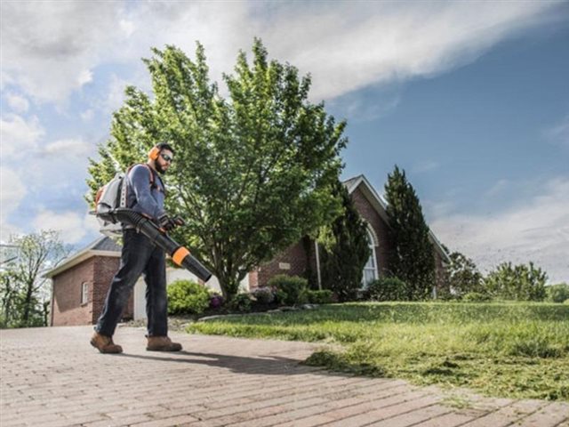 2023 STIHL Gas Blowers & Shredder Vacs BR 800 C-E MAGNUM® at Patriot Golf Carts & Powersports