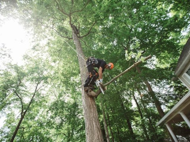 2023 STIHL Gas Chainsaw MS 151 T C-E at Patriot Golf Carts & Powersports