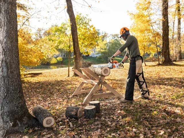 2023 STIHL Gas Chainsaw MS 171 at Patriot Golf Carts & Powersports