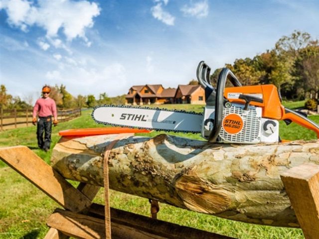 2023 STIHL Gas Chainsaw MS 250 at Patriot Golf Carts & Powersports