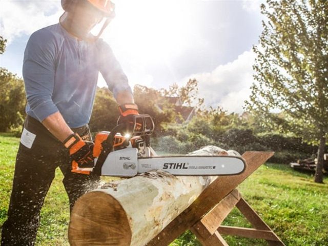 2023 STIHL Gas Chainsaw MS 250 at Patriot Golf Carts & Powersports