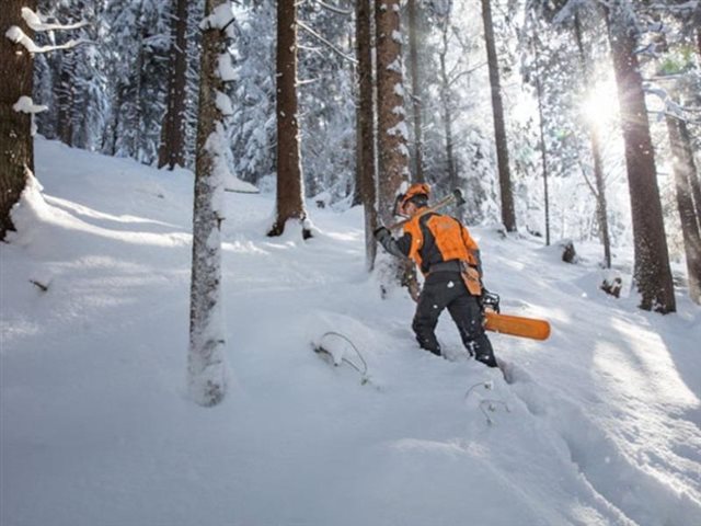 2023 STIHL Gas Chainsaw MS 462 C-M at Patriot Golf Carts & Powersports