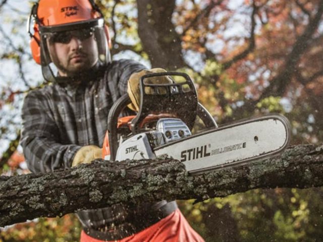 2022 STIHL Gas Chainsaw MS 251 C-BE at Patriot Golf Carts & Powersports