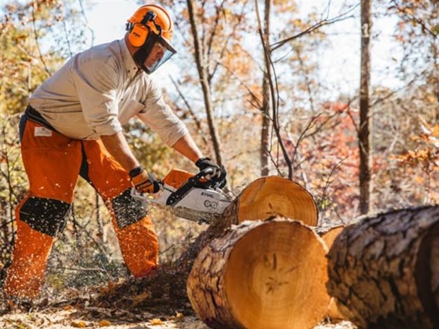 2022 STIHL Gas Chainsaw MS 311 at Patriot Golf Carts & Powersports