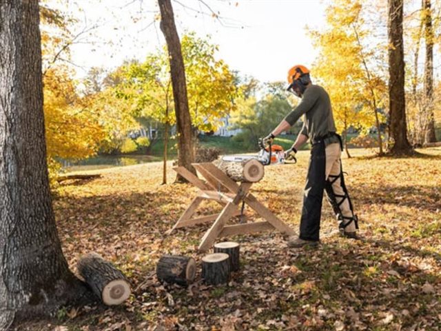 2022 STIHL Gas Chainsaw MS 171 at Patriot Golf Carts & Powersports