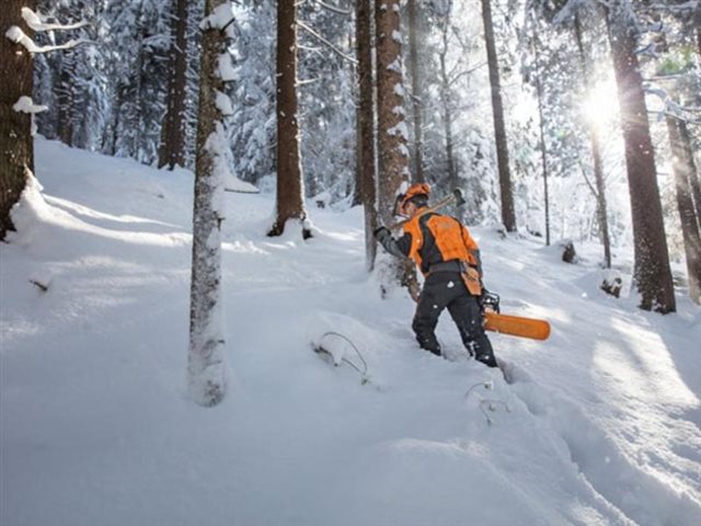 2022 STIHL Gas Chainsaw MS 462 C-M at Patriot Golf Carts & Powersports