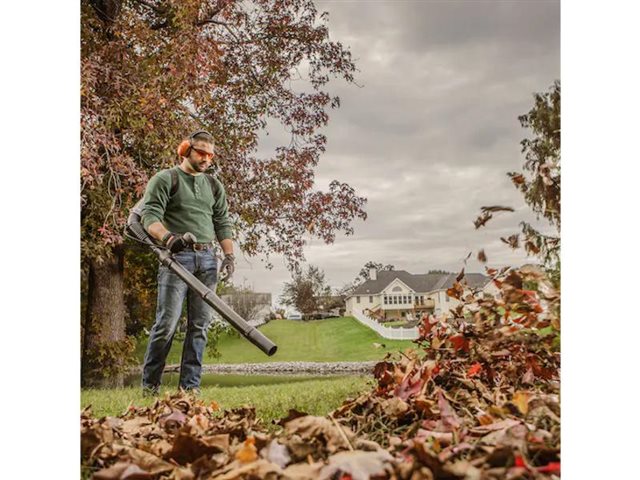 2024 STIHL Blowers & Shredder Vacs BR 350 at Patriot Golf Carts & Powersports