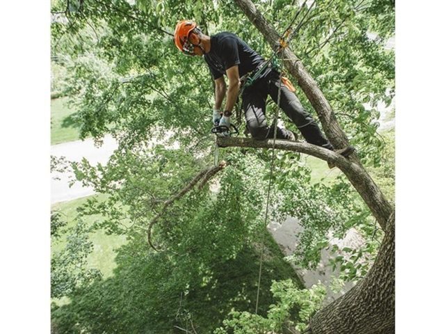 2024 STIHL Chainsaws MS 194 T at Patriot Golf Carts & Powersports