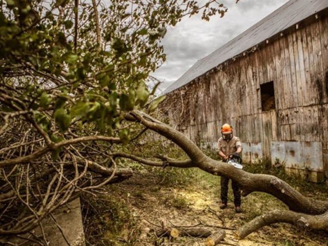 2024 STIHL Chainsaws MS 362 at Patriot Golf Carts & Powersports