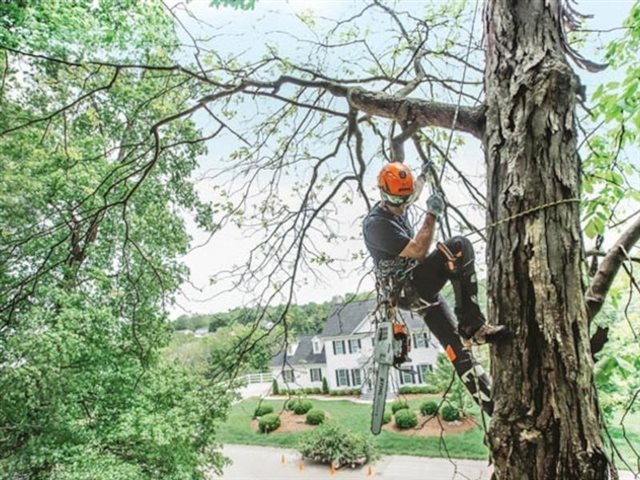 2024 STIHL Chainsaws MS 201 T C-M at Patriot Golf Carts & Powersports