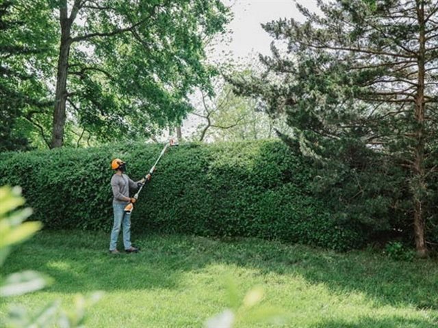 2024 STIHL Hedge Trimmers HLA 56 at Patriot Golf Carts & Powersports