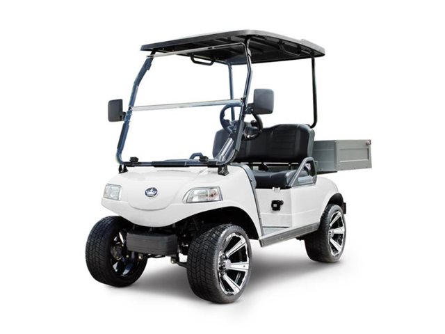 Turfman 200 at Patriot Golf Carts & Powersports