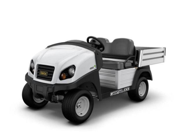 2024 Club Car Carryall 300 Electric at Bulldog Golf Cars