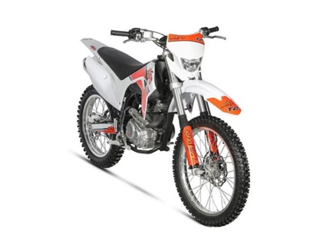 2024 Kayo T2 230 at Wise Honda