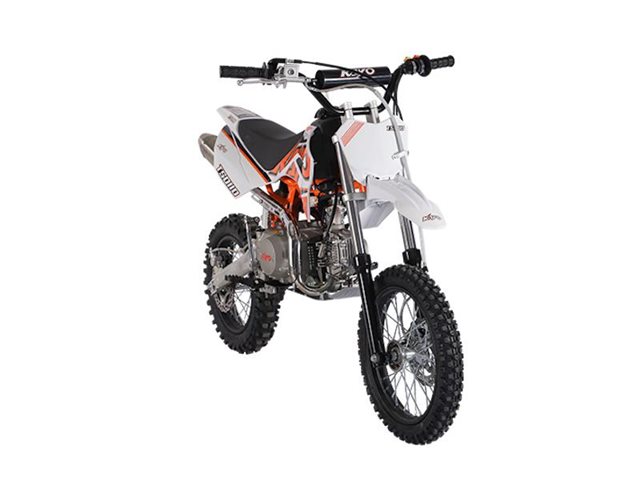2024 Kayo TSD 110 at Wise Honda