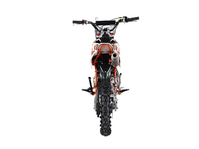2024 Kayo TT 125 at Wise Honda