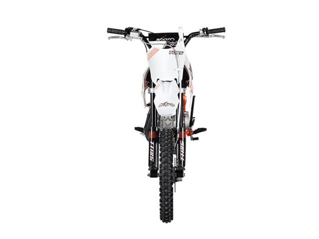 2024 Kayo TT 125 at Wise Honda